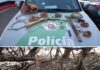 Polícia Ambiental prende caçador por porte ilegal de arma de fogo