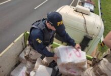Polícia Rodoviária Federal apreende 9 toneladas de maconha na BR-153 em Rio Preto