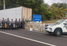 Polícia apreende mais de uma tonelada de maconha em rodovia de Andradina