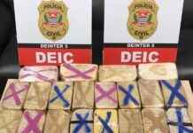 Polícia Civil apreende 30 tijolos de crack armazenados em chácara de Rio Preto