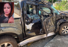 Motorista bate caminhonete em árvore e mulher morre em Rio Preto