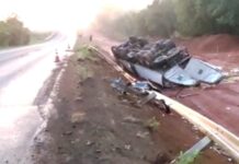 Caminhão carregado com caixas de ovos capota na BR-153 em Bady Bassitt