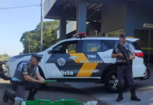 Mulher é presa com drogas dentro de ônibus em Penápolis