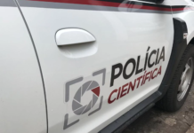 Caminhoneiro encontra homem morto às margens da BR-153