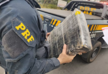 Apreensões de drogas dobram na BR-153 em Rio Preto