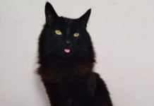 Sexta-feira 13: Entenda por que a data é associada ao medo e ao azar