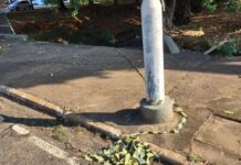 Homem morre após ser baleado dentro de carro em avenida de Rio Preto