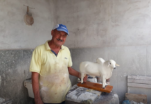Boi Corote – Artesão local faz sucesso com boi que mija pinga
