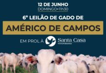 Américo de Campos realiza leilão em prol da Santa Casa de Votuporanga neste domingo