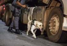 Número de presos em São Paulo sobe 17%
