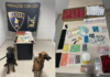Dupla é presa após cães farejadores encontrarem drogas sintéticas em casa