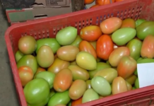 Com a chegada do frio, preço dos legumes aumenta no noroeste paulista