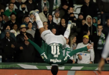 Palmeiras domina o Coritiba, vence e volta à liderança do Brasileirão