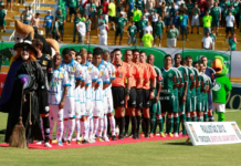 Grêmio Catanduvense anuncia volta ao futebol três anos depois de interromper as atividades