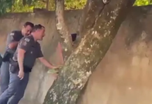 Policiais de Mendonça são investigados por agressão a adolescentes em saída de escola