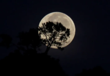 Superlua poderá ser vista em todo o Brasil
