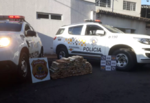 Motorista é preso com mais de 100 quilos de maconha em rodovia de Poloni