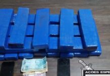 Polícia Militar apreende 17 kg de maconha na Rodovia Feliciano Salles da Cunha