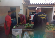 Trabalhadores em situação análoga à escravidão são resgatados em Fernandópolis