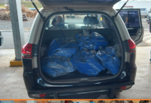 Polícia Civil incinera mais de meia tonelada de drogas em Votuporanga