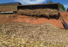 Caminhão tomba e deixa trânsito lento em rodovia de General Salgado