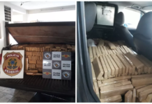Homem é preso após ser flagrado com mais de 1 tonelada de maconha em caminhonete
