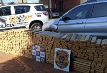 Motorista é preso após ser flagrado com uma tonelada de maconha na Rodovia Euclides da Cunha