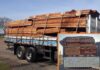 Polícia Ambiental flagra transporte irregular de madeira nativa na Rodovia Euclides da Cunha