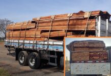 Polícia Ambiental flagra transporte irregular de madeira nativa na Rodovia Euclides da Cunha