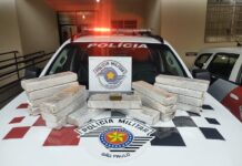 Polícia Militar prende homem com 18 kg de maconha na Rodovia Euclides da Cunha