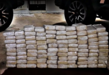 Mulher é presa após PM encontrar tijolos de maconha em barracão em Auriflama