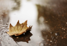 Semana que tem início do inverno será de temperaturas amenas em Votuporanga