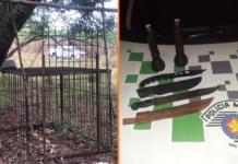 Polícia Ambiental flagra e multa caçadores na região