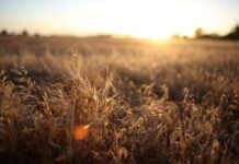 Inverno será marcado por chuvas abaixo da média no Sul e Sudeste
