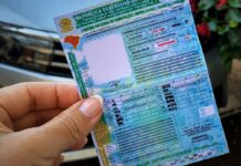 Carteira Nacional de Habilitação tem novo modelo a partir de hoje