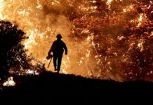 Calor e incêndios colocam Portugal em estado de contingência