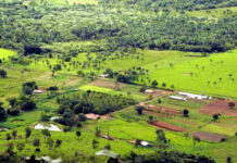 Proprietário rural pode emitir Certificado de Cadastro de Imóvel