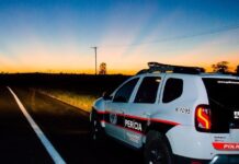 Jovem encontra corpo em decomposição em mata de Ibirá