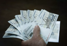 Beija-flor x lobo-guará: mesmo ‘extinta’, cédula de R$ 1 é mais comum que a de R$ 200