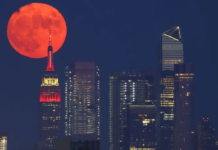 “Lua dos Cervos”: Maior superlua do ano acontece nesta quarta-feira