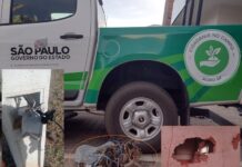 Polícia Ambiental prende suspeito de furtar fios na zona rural de Votuporanga
