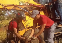 Bezerro cai em poço de 30 metros de profundidade e é resgatado por bombeiros