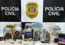 Operação Balada apreende skank, haxixe e maconha em Ilha Solteira