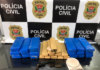 Polícia Civil apreende 33 kg de maconha e arma de fogo