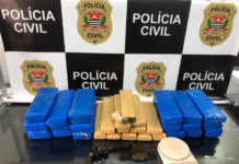 Polícia Civil apreende 33 kg de maconha e arma de fogo