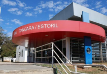 Pitbull ataca adolescente na cabeça e perna em Rio Preto