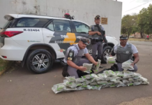 Passageiro de ônibus é preso após ser flagrado com pacotes de ‘supermaconha’ em bagagem