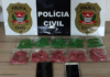 Polícia Civil apreende mais de 1,5 mil comprimidos de ecstasy em Rio Preto