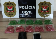 Polícia Civil apreende mais de 1,5 mil comprimidos de ecstasy em Rio Preto
