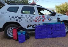 Polícia Militar apreende mais de 180 kg de maconha em Penápolis